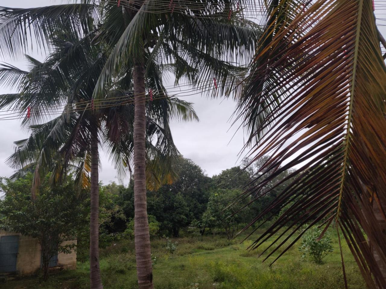 فندق Srb Residency Tiruvannāmalai المظهر الخارجي الصورة